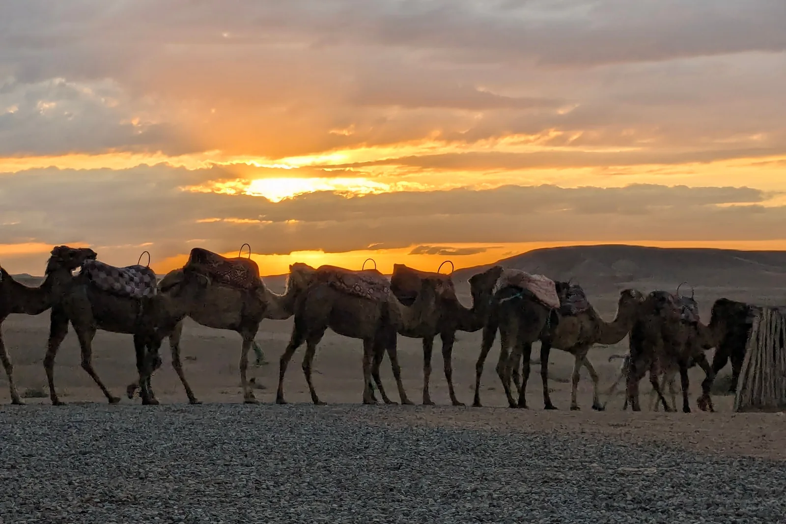 Une file de chameaux se découpant sur un coucher de soleil orangé dans le désert (photographie représentative, il ne s'agit pas de la caravane d'Al Hadheerah)